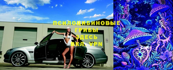 соль ск Алзамай