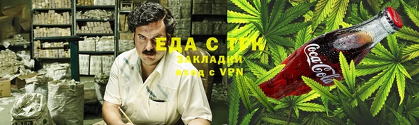 мет Алексин