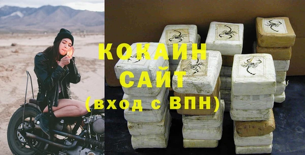 соль ск Алзамай