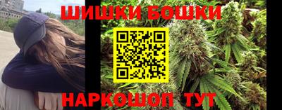 гидра Будённовск