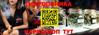 гидра Будённовск