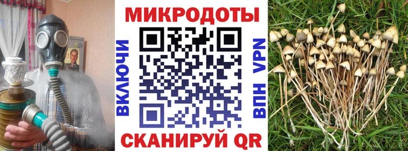 Галлюциногенные грибы ЛСД Асино