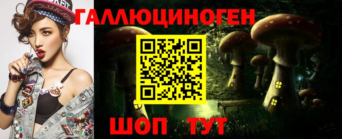 Галлюциногенные грибы Psilocybe Асино