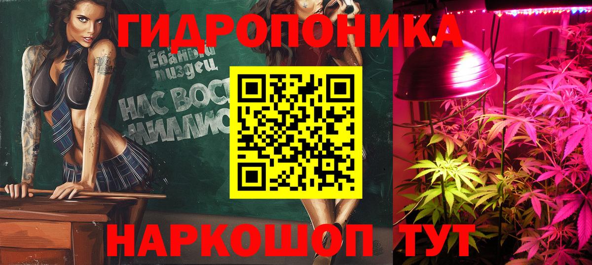 А ПВП Асино